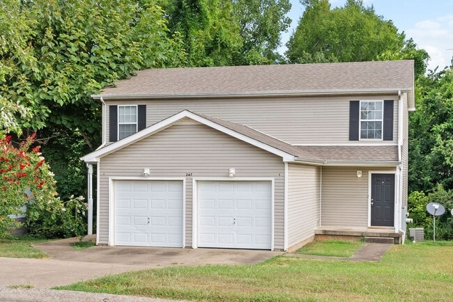 property at 247 Senator Dr