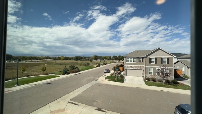 4528 Barrow Ln in Timnath, CO - Building Photo - Building Photo