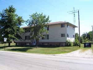 471 S West St in Peotone, IL - Foto de edificio
