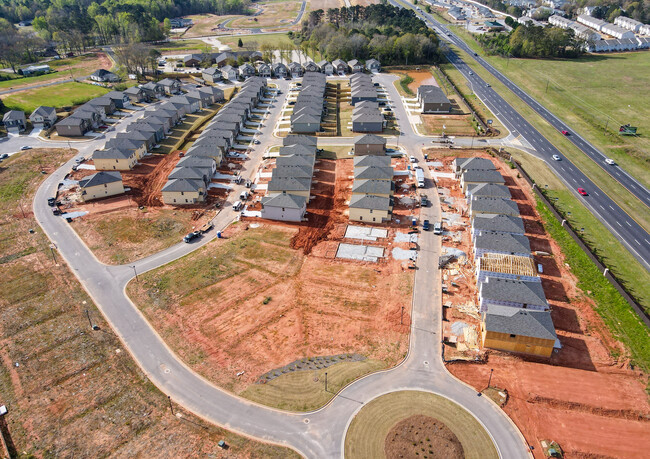 Towne Center in Hampton, GA - Foto de edificio - Building Photo