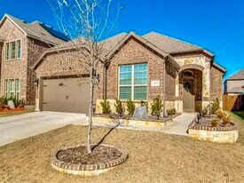 11001 Blaze St in Aubrey, TX - Building Photo