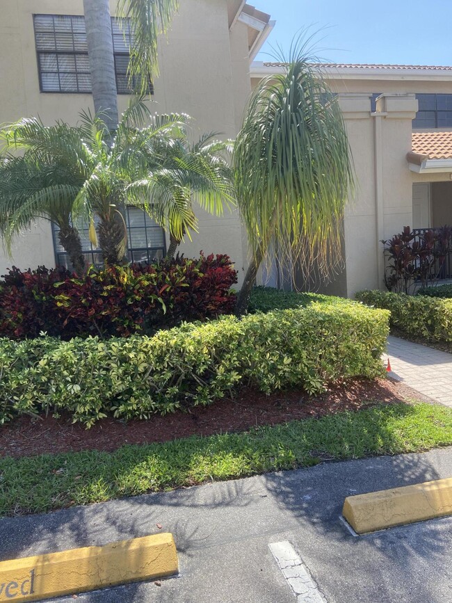property at 6682 Montego Bay Blvd