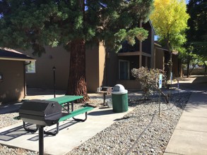 Nevada Hills Apartments in Reno, NV - Foto de edificio - Building Photo