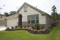 3742 Paladera Pl Ct in Spring, TX - Foto de edificio - Building Photo