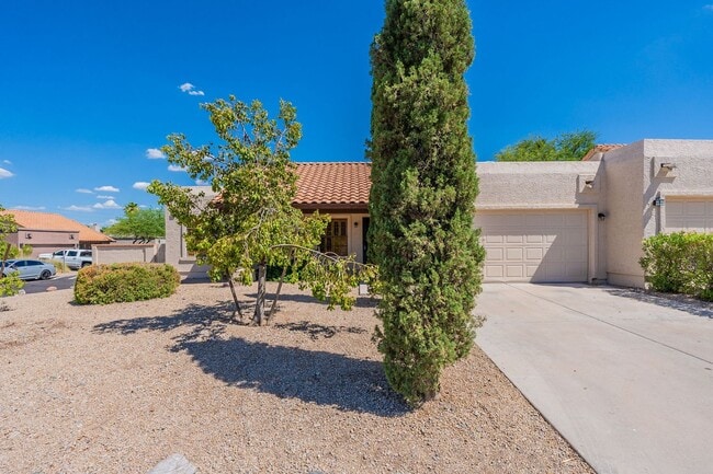 14602 N Olympic Way in Fountain Hills, AZ - Building Photo - Building Photo