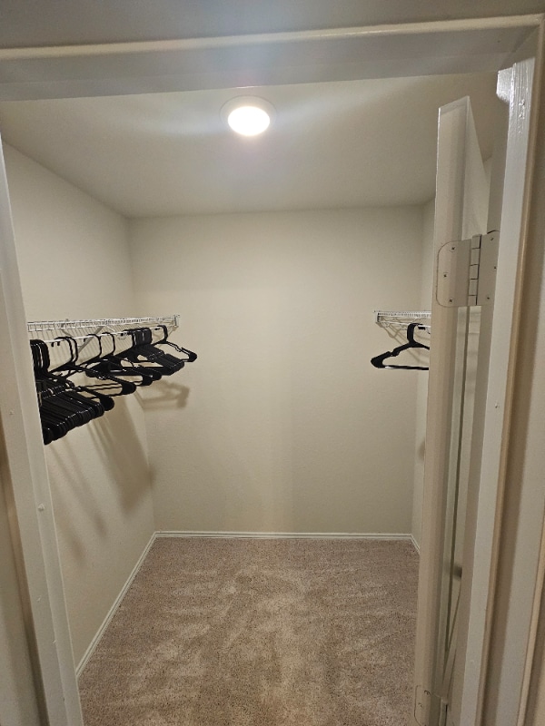property at 10515 Brady Crk Cp