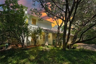 10006 Wildflower Ln in Austin, TX - Building Photo