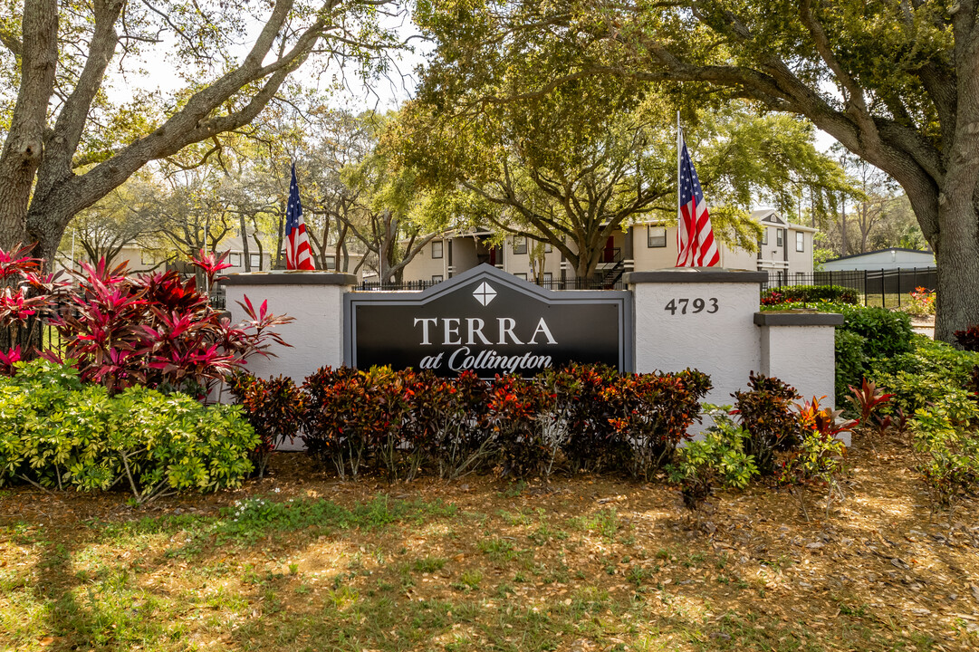 Terra at Collington Apartments in Orlando, FL - Building Photo