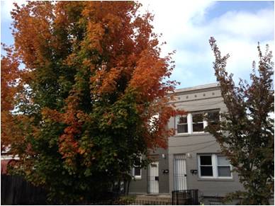 1504 A St NE in Washington, DC - Foto de edificio
