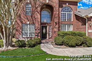 19519 Crystal Oak in San Antonio, TX - Building Photo - Building Photo