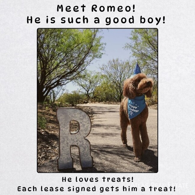 5335 Reeds Rd in Mission, KS - Foto de edificio - Building Photo