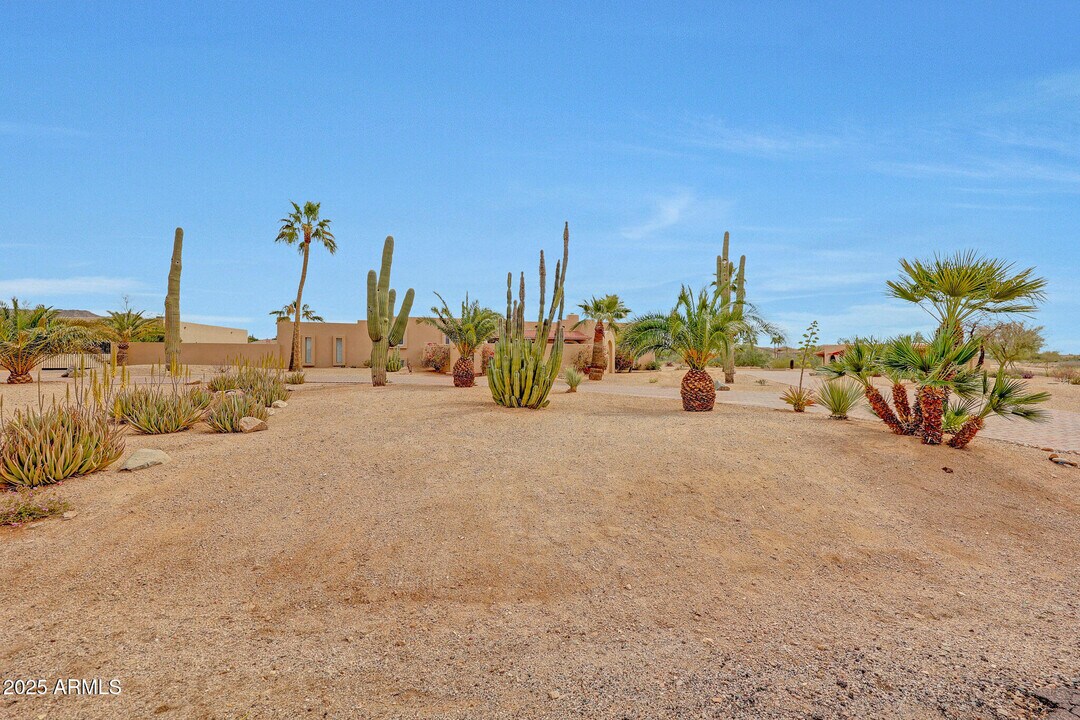 10239 N 125th St in Scottsdale, AZ - Building Photo