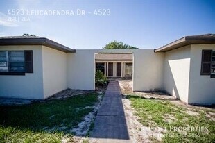 4523 Leucadendra Dr in Sebring, FL - Building Photo