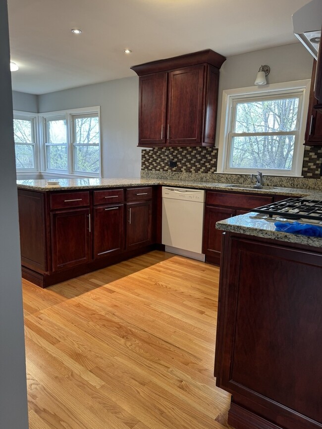 10300 S Ave F in Chicago, IL - Building Photo - Building Photo