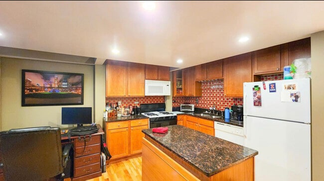 211 E Ohio St, Unit 319 in Chicago, IL - Building Photo - Building Photo