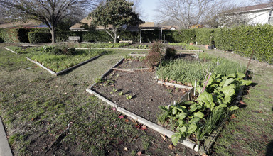 Sunray Community in Richardson, TX - Building Photo - Building Photo