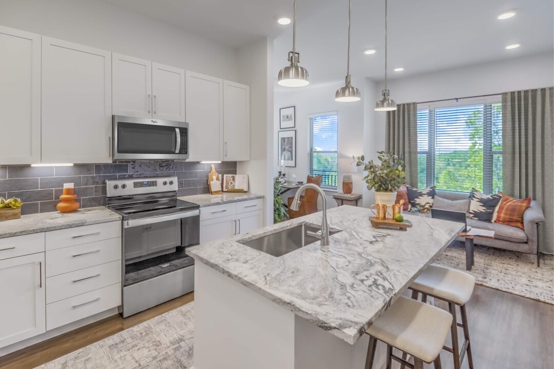 Enclave Piney Mountain in Asheville, NC - Building Photo