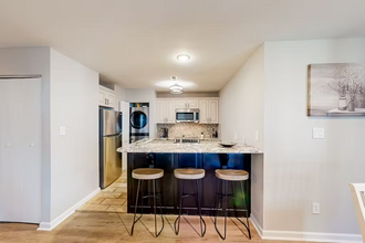18833 Vineyard Point Ln in Cornelius, NC - Building Photo - Building Photo