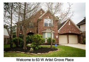 63 W Artist Grove Pl in Spring, TX - Building Photo