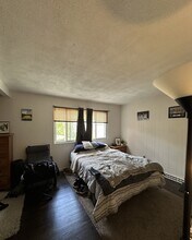 19 Kippy Dr in Newton, MA - Building Photo - Building Photo