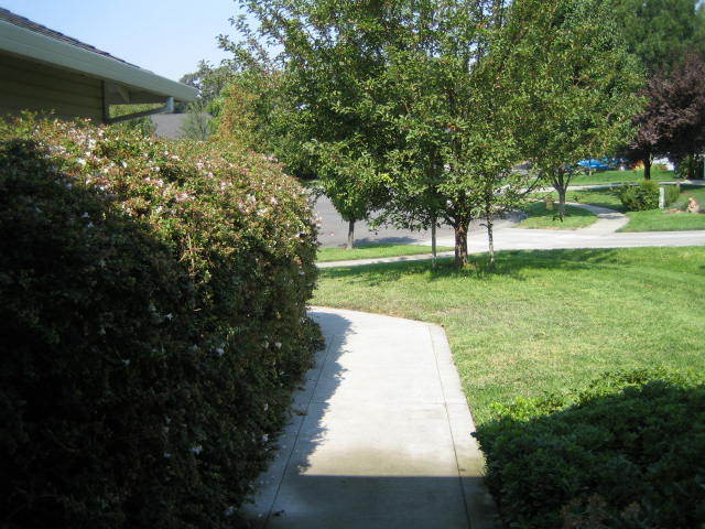12 Knotts Glen Ct in Chico, CA - Building Photo - Building Photo