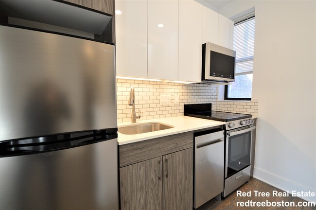 20 Queensberry St, Unit 3 in Boston, MA - Building Photo - Building Photo