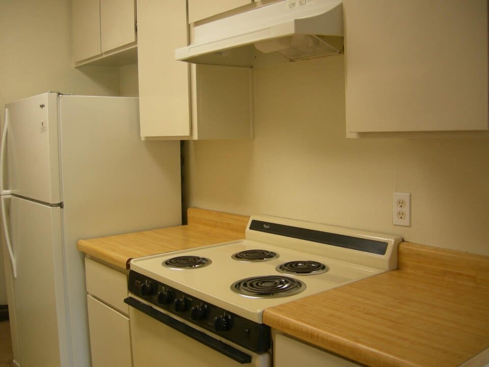 310 Tradewinds Dr in San Jose, CA - Building Photo