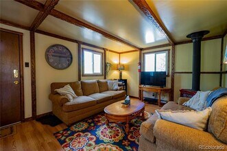 4901 Co Rd 1 in Fairplay, CO - Building Photo - Building Photo