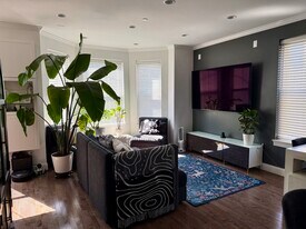 46 W Eagle St, Unit 2 in Boston, MA - Building Photo