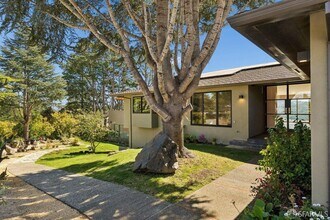 1435 Lakeview Dr in Hillsborough, CA - Building Photo - Building Photo