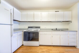 1030 N State St in Chicago, IL - Building Photo - Building Photo