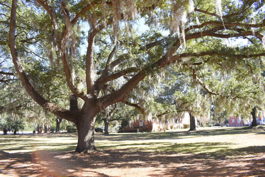 2940 Oleander Dr, Unit C5 in Wilmington, NC - Foto de edificio