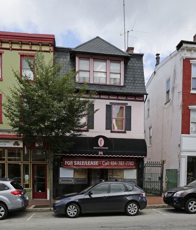 241 Bridge St in Phoenixville, PA - Building Photo - Building Photo