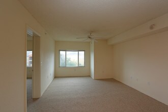 Waverly Apartments in West Palm Beach, FL - Building Photo - Interior Photo