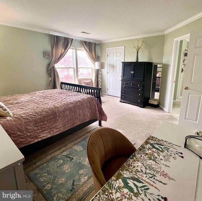 25278 Boldness Ct in Aldie, VA - Building Photo - Building Photo