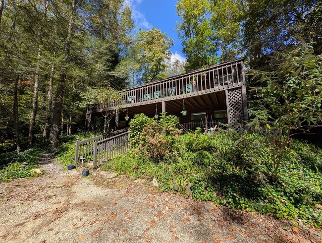 217 Assembly Dr in Black Mountain, NC - Building Photo - Building Photo