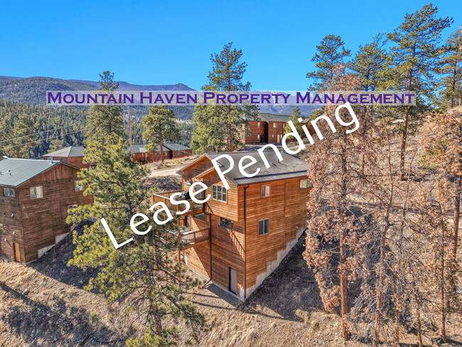210 Virginia Rd in Bailey, CO - Building Photo - Building Photo