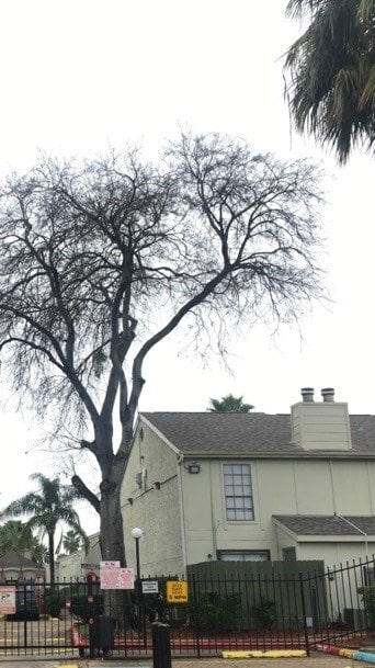 property at 8714 Village of Fondren