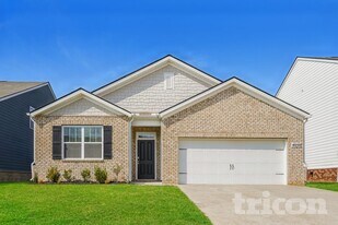 4050 Beach Wy in White House, TN - Building Photo