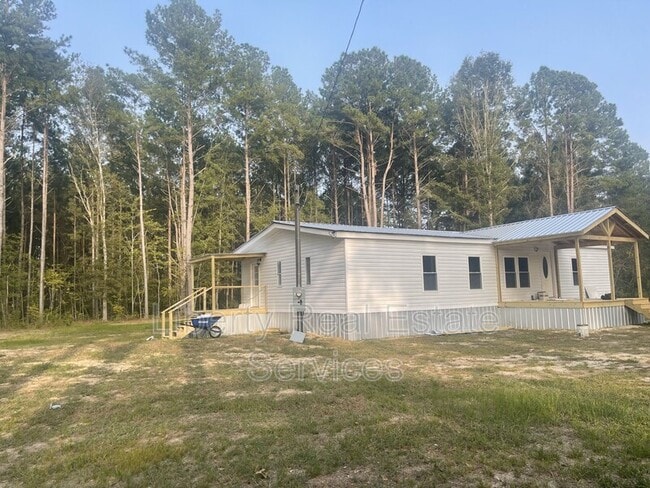 163 Wilds Rd in Glennville, GA - Building Photo - Building Photo