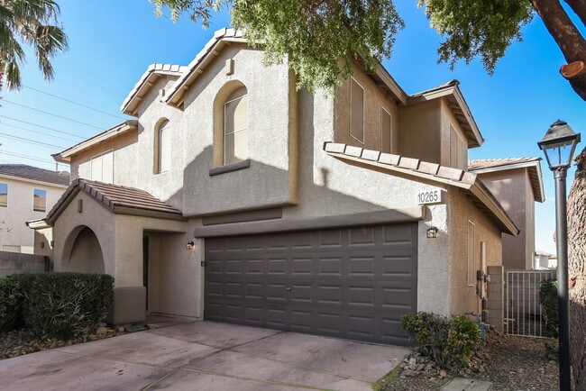 10265 Montana Mountain St