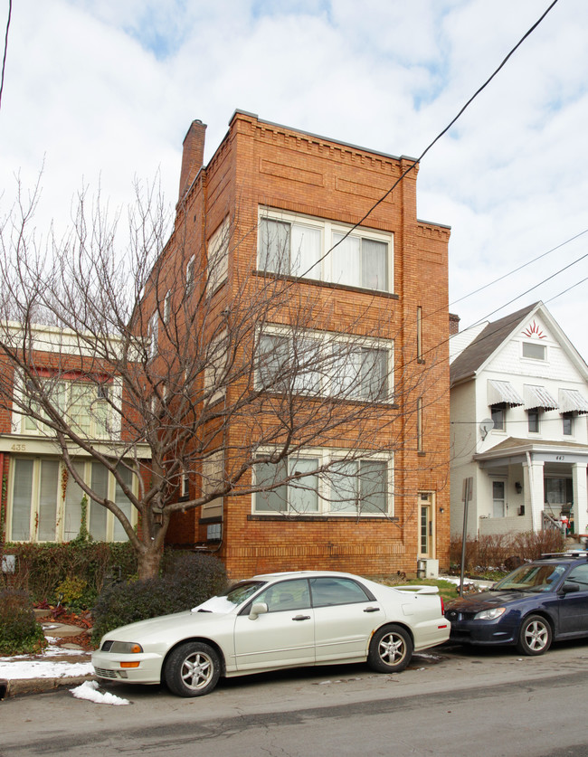 439 Biddle Ave in Pittsburgh, PA - Building Photo - Building Photo