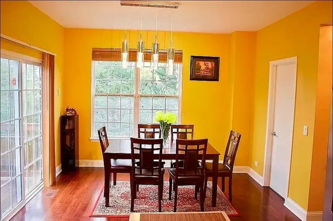 576 Declaration Ln in Aurora, IL - Building Photo - Building Photo