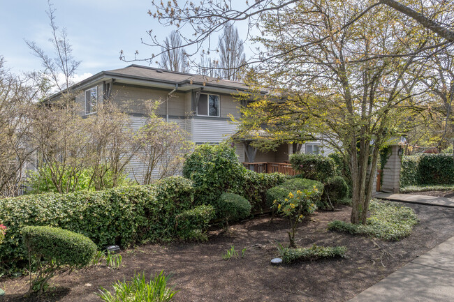 Ivy Ridge Apartments in Seattle, WA - Building Photo - Building Photo