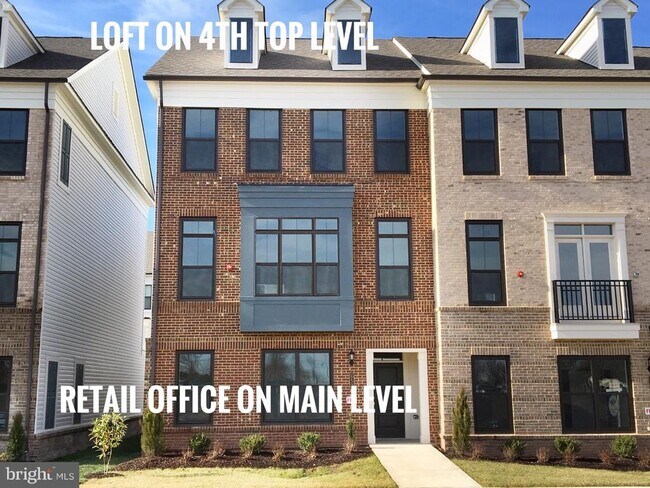 22591 Amendola Terrace in Ashburn, VA - Building Photo - Building Photo