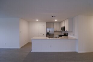 2511 Night Emerald Dr in Rosharon, TX - Building Photo