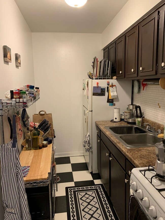 541 W Oakdale Ave in Chicago, IL - Building Photo - Building Photo