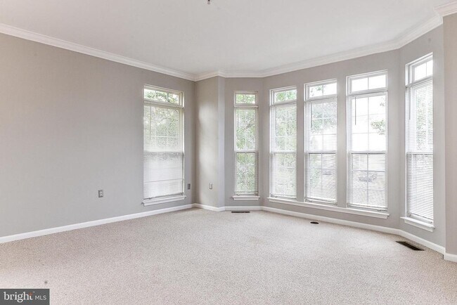 6237 Frosty Winter Ct in Centreville, VA - Building Photo - Building Photo