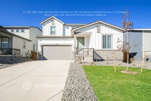 4427 Shivaree St in Timnath, CO - Building Photo