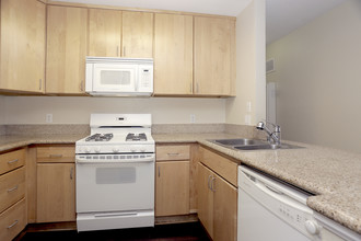 Ocean Elements at Villa del Sol Apartments in Long Beach, CA - Building Photo - Interior Photo